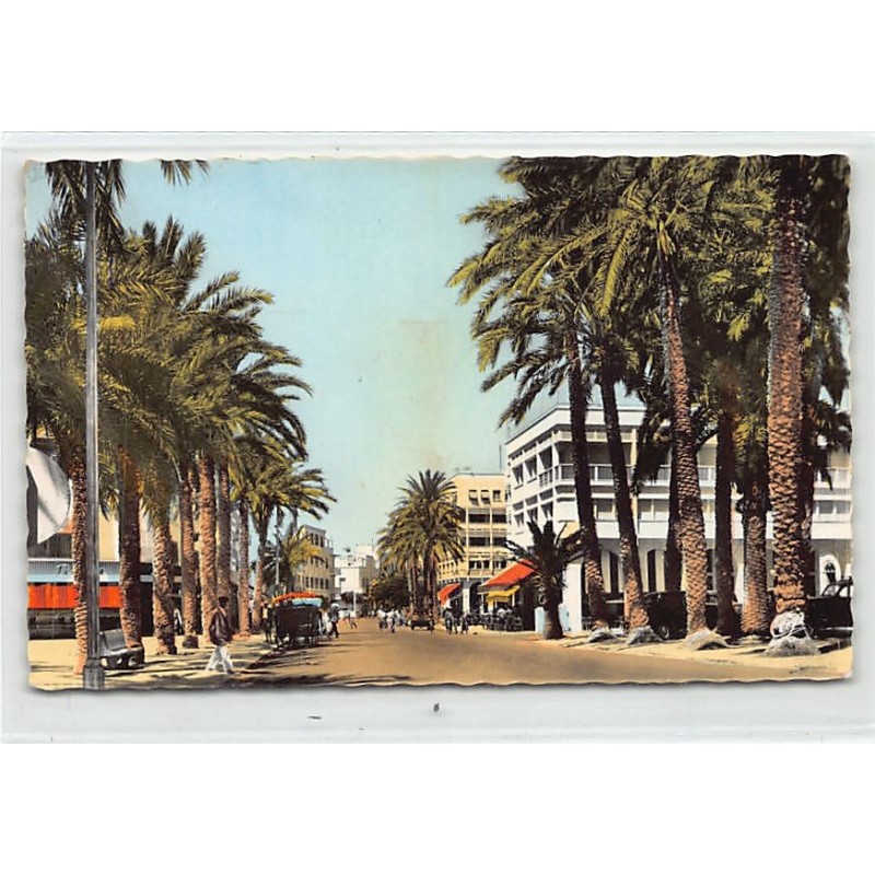 Rare collectable postcards of TUNISIA TUNISIE. Vintage Postcards of TUNISIA TUNISIE