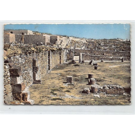Rare collectable postcards of TUNISIA TUNISIE. Vintage Postcards of TUNISIA TUNISIE