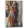Rare collectable postcards of ETHNIC NUDE. Vintage Postcards of ETHNIC NUDE