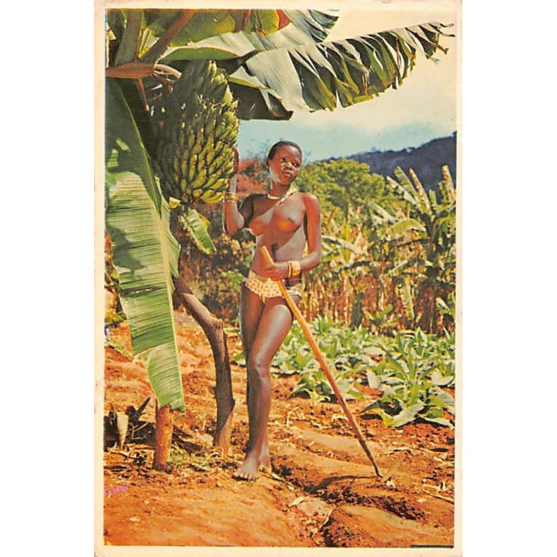Rare collectable postcards of ETHNIC NUDE. Vintage Postcards of ETHNIC NUDE