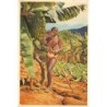 Rare collectable postcards of ETHNIC NUDE. Vintage Postcards of ETHNIC NUDE