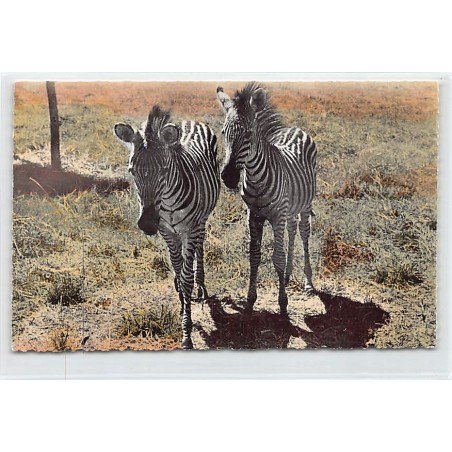 Rare collectable postcards of CONGO KINSHASA. Vintage Postcards of CONGO KINSHASA