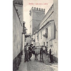 Rare collectable postcards of JUDAICA. Vintage Postcards of JUDAICA