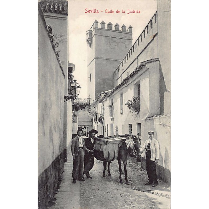 Rare collectable postcards of JUDAICA. Vintage Postcards of JUDAICA