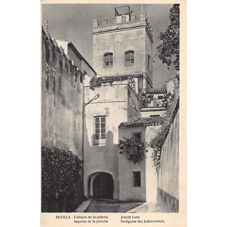 Rare collectable postcards of JUDAICA. Vintage Postcards of JUDAICA