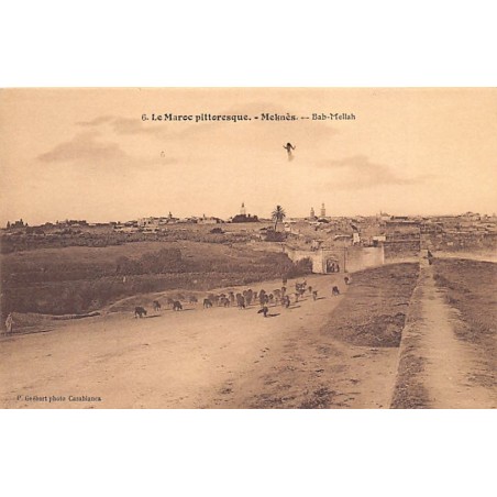 Rare collectable postcards of JUDAICA. Vintage Postcards of JUDAICA