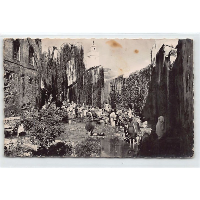 Rare collectable postcards of JUDAICA. Vintage Postcards of JUDAICA