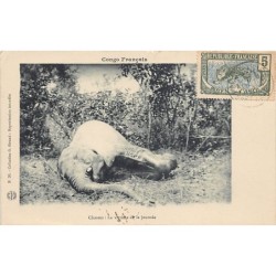 Rare collectable postcards of Congo - Brazzaville. Vintage Postcards of Congo - Brazzaville