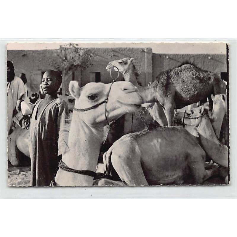 Rare collectable postcards of Mali. Vintage Postcards of Mali