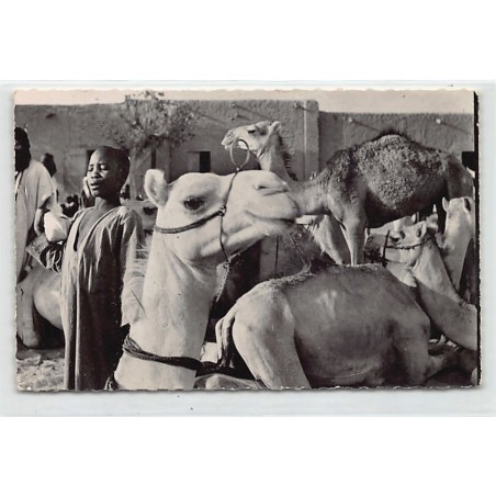 Rare collectable postcards of Mali. Vintage Postcards of Mali