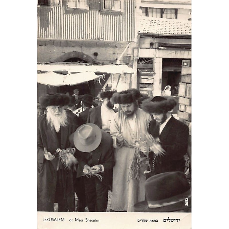 Rare collectable postcards of Israel / Palestine. Vintage Postcards of Israel / Palestine