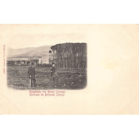 Rare collectable postcards of Lebanon. Vintage Postcards of Lebanon