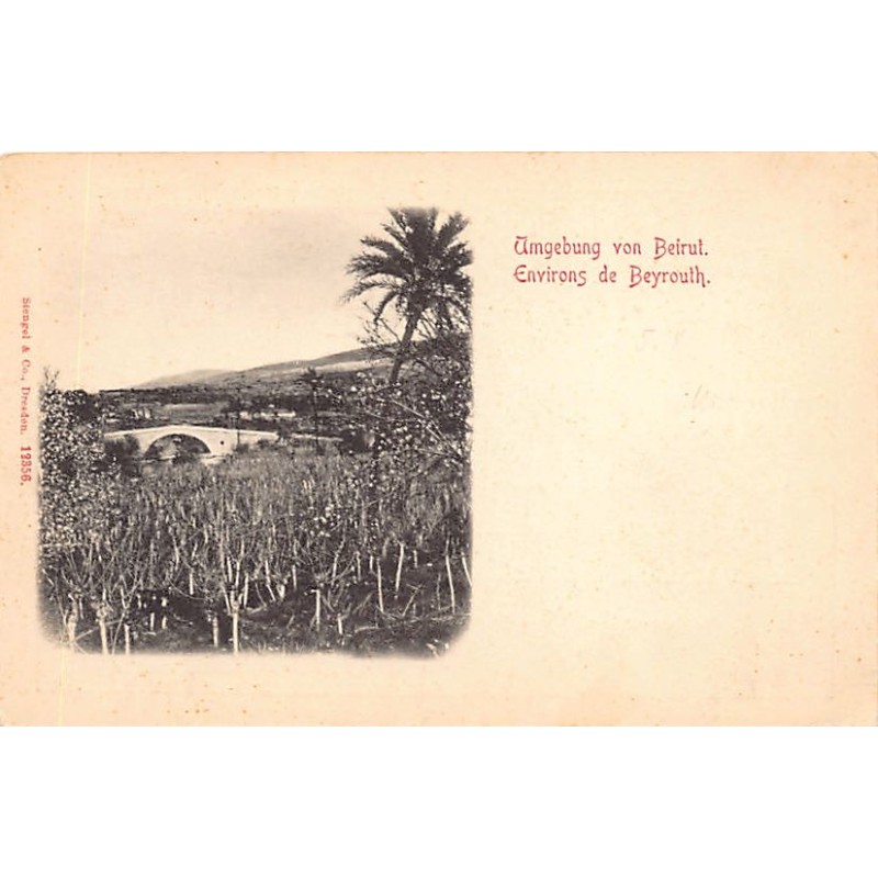 Rare collectable postcards of Lebanon. Vintage Postcards of Lebanon