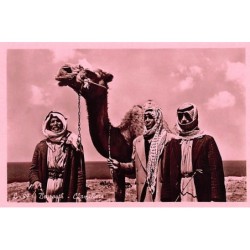 Rare collectable postcards of Lebanon. Vintage Postcards of Lebanon