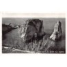 Rare collectable postcards of Lebanon. Vintage Postcards of Lebanon