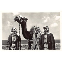 Rare collectable postcards of Lebanon. Vintage Postcards of Lebanon