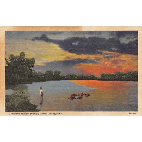 Rare collectable postcards of Philippines. Vintage Postcards of Philippines