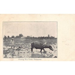 Rare collectable postcards of Philippines. Vintage Postcards of Philippines