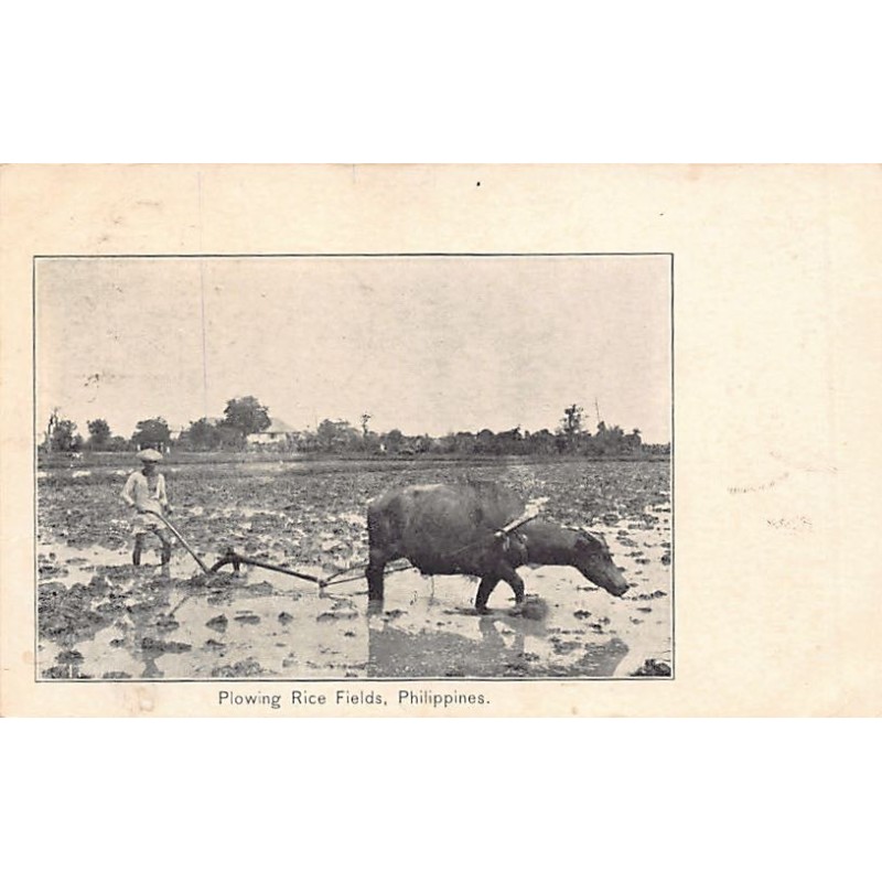 Rare collectable postcards of Philippines. Vintage Postcards of Philippines