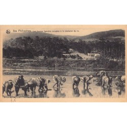 Rare collectable postcards of Philippines. Vintage Postcards of Philippines