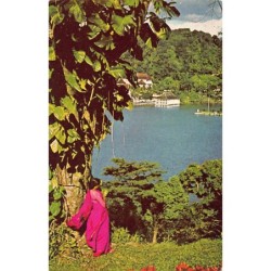Rare collectable postcards of Sri Lanka (Ceylon). Vintage Postcards of Sri Lanka (Ceylon)
