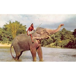 Rare collectable postcards of Sri Lanka (Ceylon). Vintage Postcards of Sri Lanka (Ceylon)
