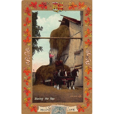 Rare collectable postcards of Canada. Vintage Postcards of Canada