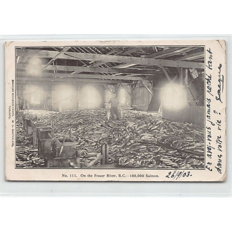 Rare collectable postcards of Canada. Vintage Postcards of Canada