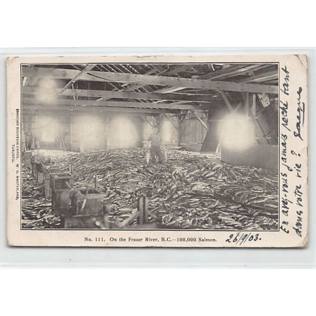 Rare collectable postcards of Canada. Vintage Postcards of Canada