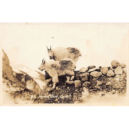 Rare collectable postcards of Canada. Vintage Postcards of Canada