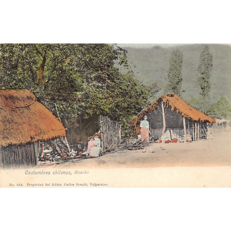 Rare collectable postcards of Chile. Vintage Postcards of Chile