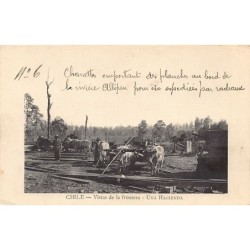 Rare collectable postcards of Chile. Vintage Postcards of Chile