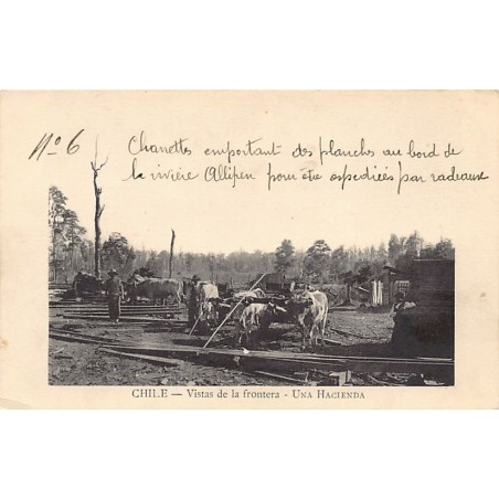 Rare collectable postcards of Chile. Vintage Postcards of Chile