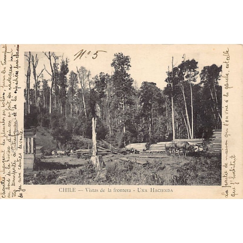 Rare collectable postcards of Chile. Vintage Postcards of Chile