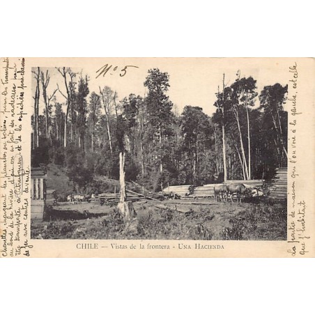 Rare collectable postcards of Chile. Vintage Postcards of Chile