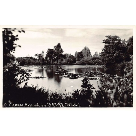 Rare collectable postcards of Chile. Vintage Postcards of Chile