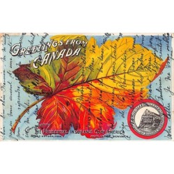 Rare collectable postcards of United States. Vintage Postcards of United States