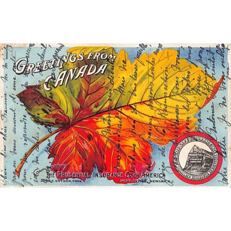 Rare collectable postcards of United States. Vintage Postcards of United States