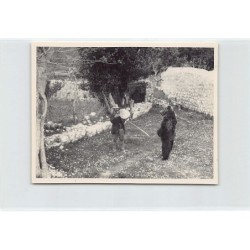 Rare collectable postcards of Croatia. Vintage Postcards of Croatia