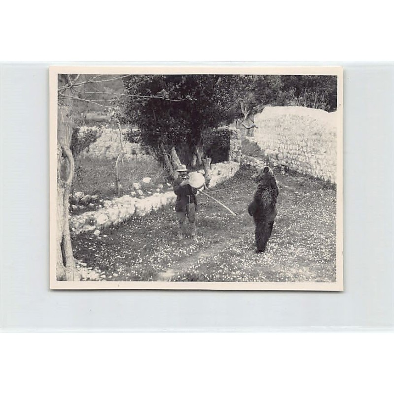 Rare collectable postcards of Croatia. Vintage Postcards of Croatia