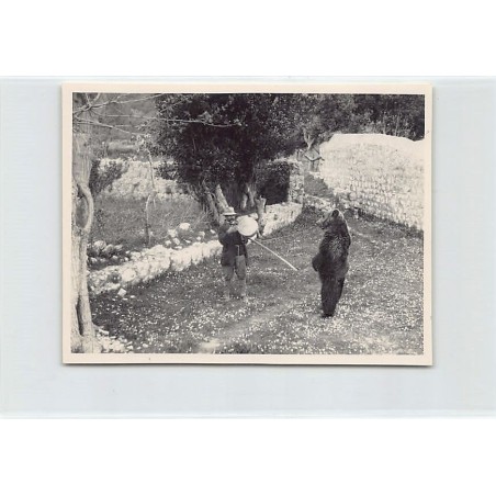 Rare collectable postcards of Croatia. Vintage Postcards of Croatia