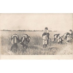 Rare collectable postcards of Greece. Vintage Postcards of Greece