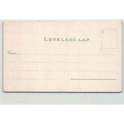 Rare collectable postcards of Hungary. Vintage Postcards of Hungary