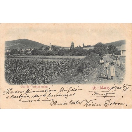 Rare collectable postcards of Hungary. Vintage Postcards of Hungary