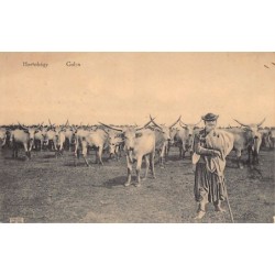 Rare collectable postcards of Hungary. Vintage Postcards of Hungary