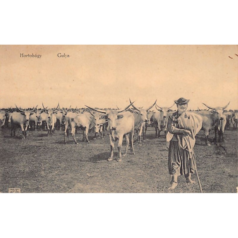 Rare collectable postcards of Hungary. Vintage Postcards of Hungary