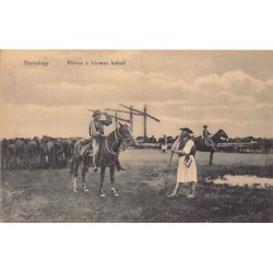 Rare collectable postcards of Hungary. Vintage Postcards of Hungary