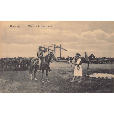 Rare collectable postcards of Hungary. Vintage Postcards of Hungary