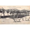 Rare collectable postcards of Italy. Vintage Postcards of Italy
