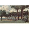 Rare collectable postcards of Italy. Vintage Postcards of Italy